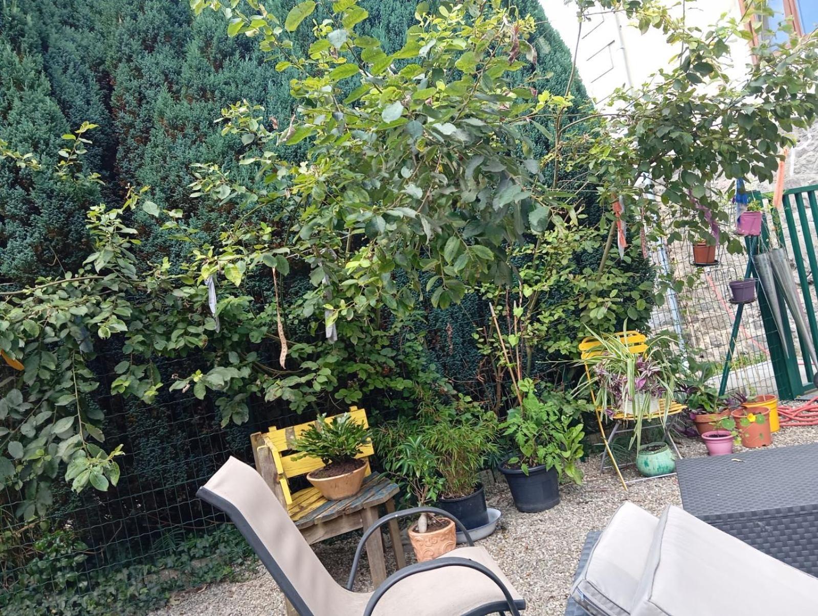 Au Pied Du Gazon Lägenhet Saint-Maurice-sur-Moselle Exteriör bild